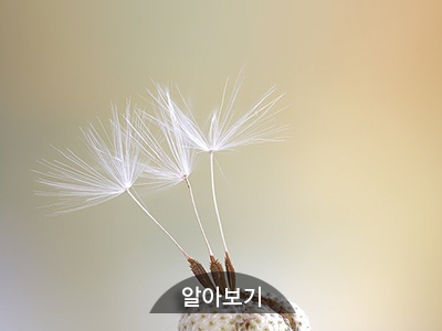 엔터투데이|따뜻한 뉴스가 있는 신문