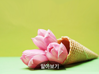 엔터투데이|따뜻한 뉴스가 있는 신문