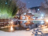 카타르 월드컵 현장서 '전남관광' 홍보 이벤트 진행