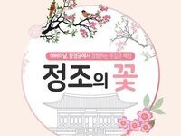 창경궁서 복숭아꽃에 담긴 정조의 효심 느껴보아요