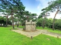  창경궁으로 별 보러 가자! 