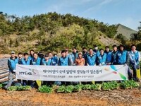 KT&G, 잎담배 농가 이식 봉사활동 진행
