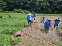 신한금융, 충청지역 수해 복구 봉사활동