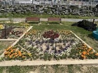 용인특례시, 시민참여 정원 자원봉사자 모집