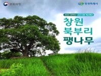 '창원 북부리 팽나무' 천연기념물 지정 기념행사 개최