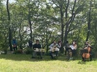 문화재청, 가을의 동구릉에서 클래식으로 산책하다