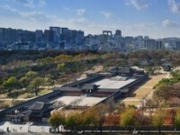 창경궁 궁궐숲 조성 나무심기 봉사활동