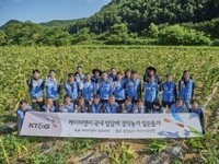 KT＆G, 잎담배 수확 봉사활동…17년째 농가와 상생 실천