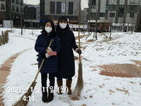 천안시자원봉사센터, ‘우리동네 눈 치우기’ 큰 호응