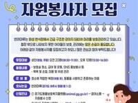 경기도 구출 강아지 보호에 자원봉사 신청자 500명 넘어